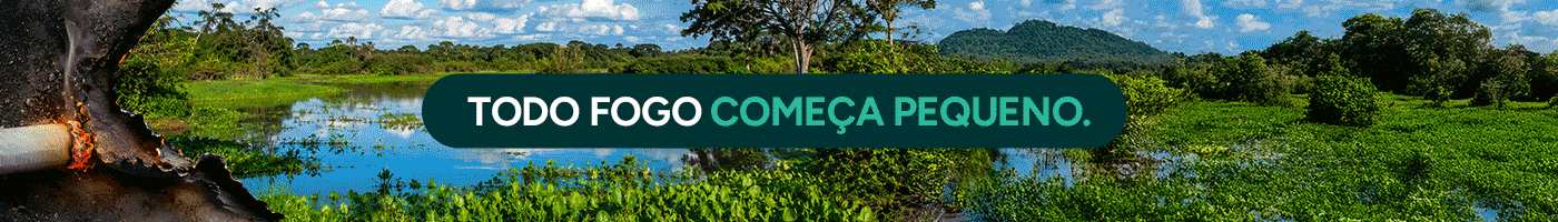 MS NO AR